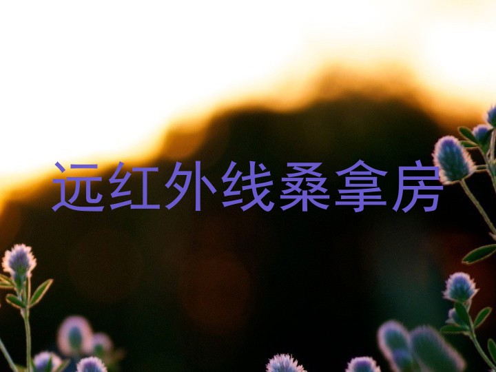 远红外线桑拿房