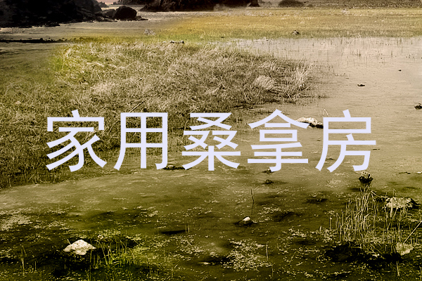 家用桑拿房