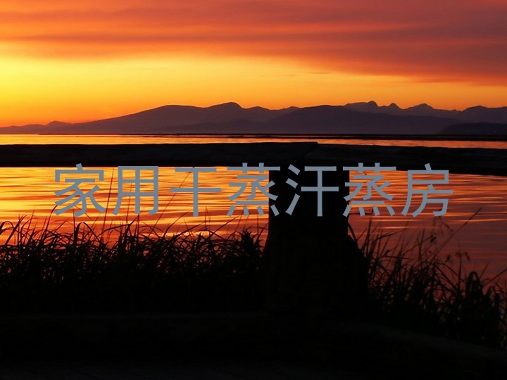 家用干蒸汗蒸房