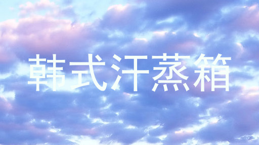韩式汗蒸箱
