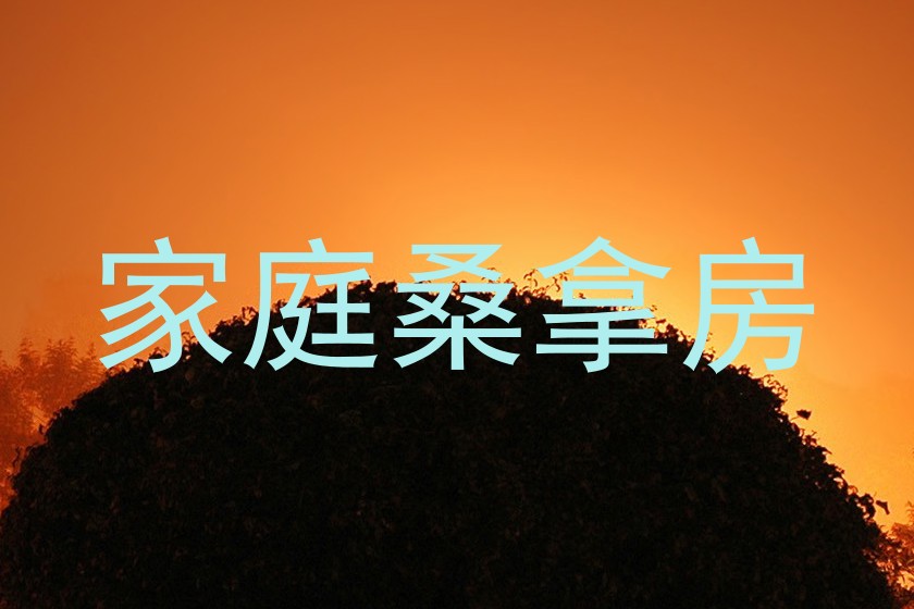 家庭桑拿房
