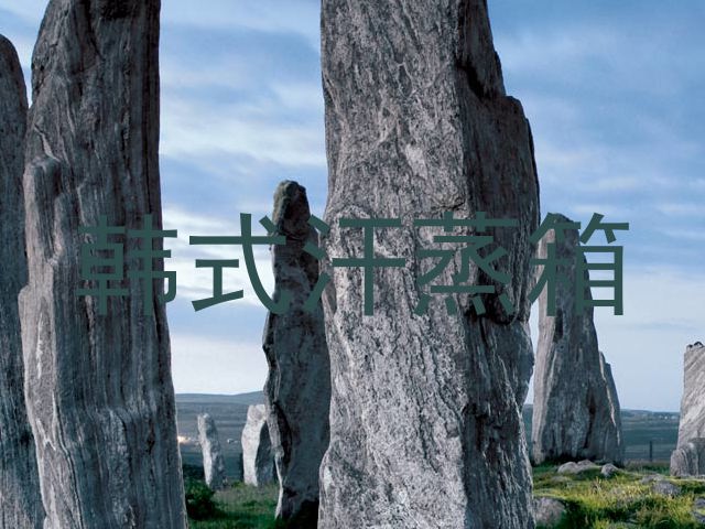韩式汗蒸箱