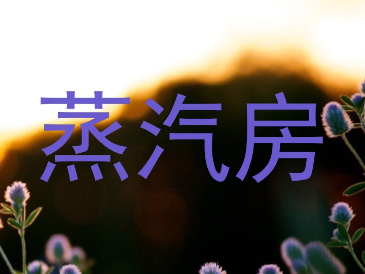 蒸汽房
