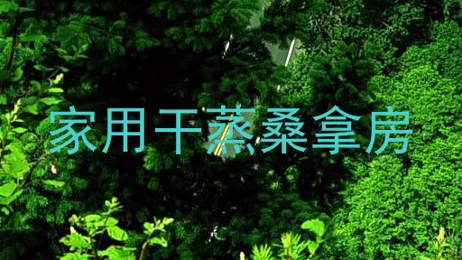 家用干蒸桑拿房