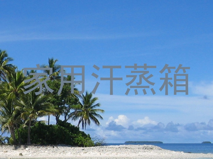 家用汗蒸箱