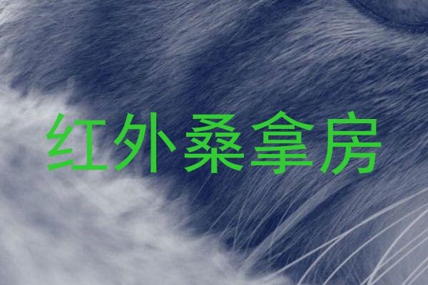 红外桑拿房