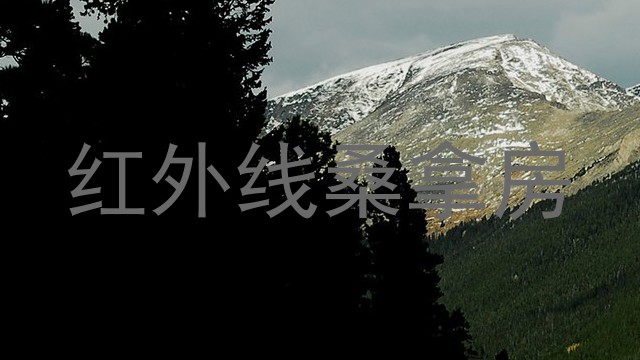 红外线桑拿房