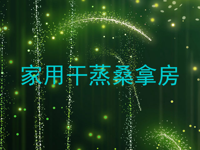 家用干蒸桑拿房