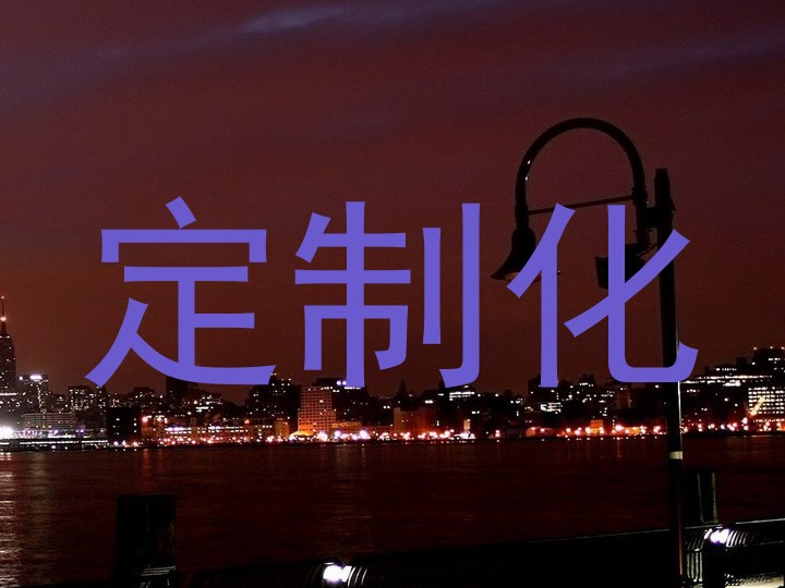 定制化