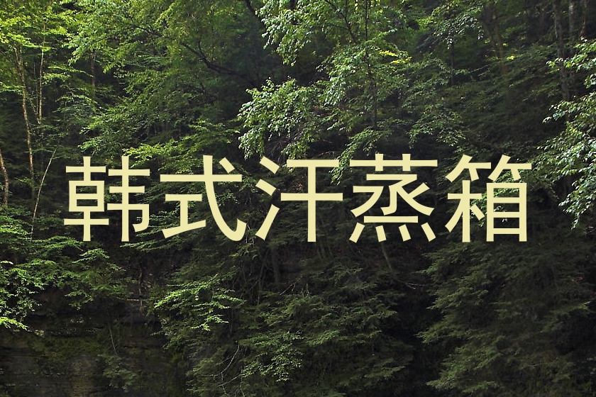 韩式汗蒸箱