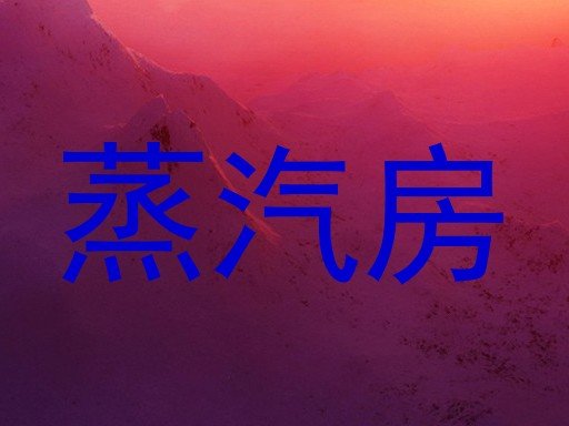 蒸汽房
