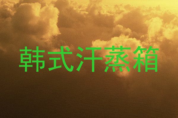 韩式汗蒸箱