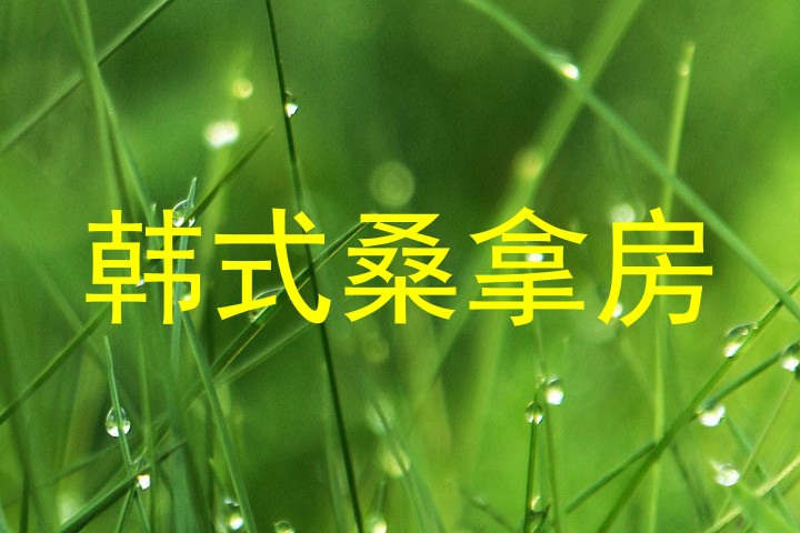 韩式桑拿房