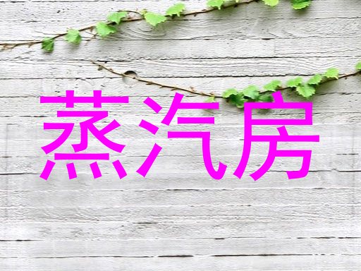 蒸汽房
