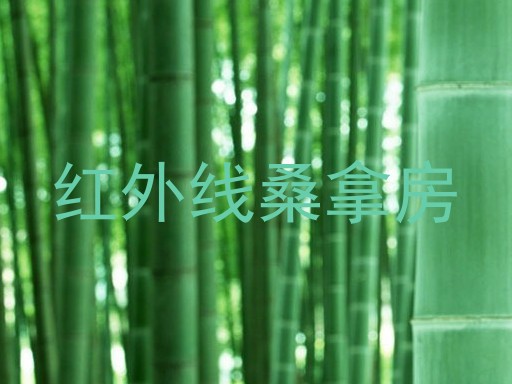 红外线桑拿房