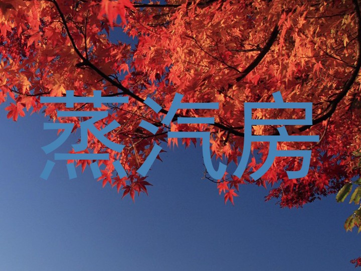 蒸汽房