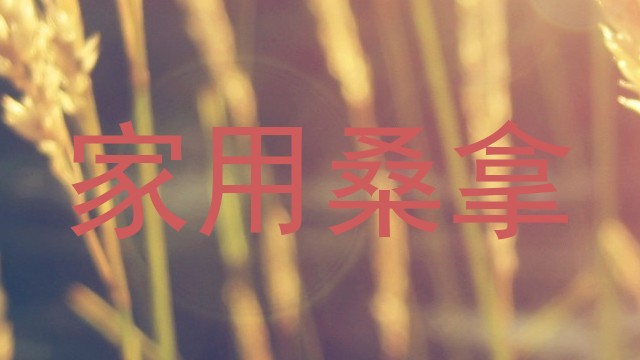 家用桑拿