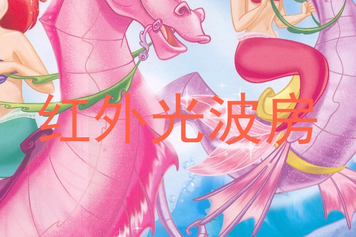 红外光波房
