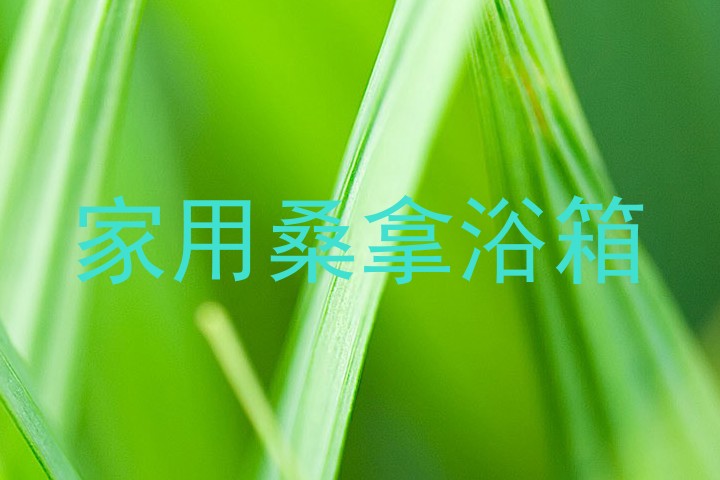 家用桑拿浴箱