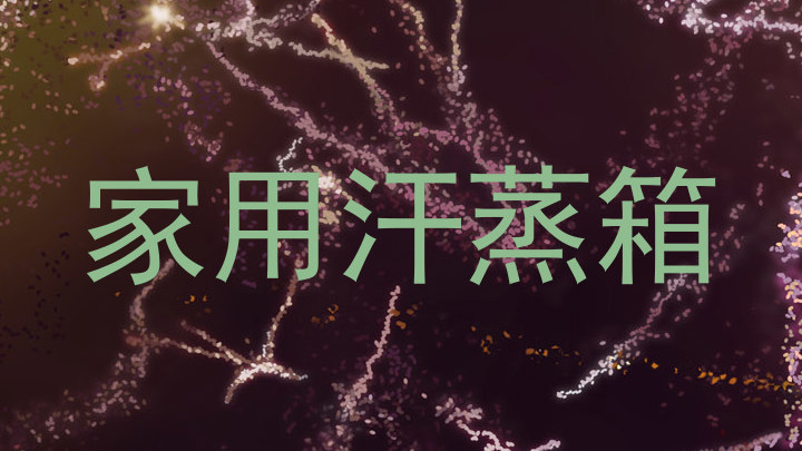 家用汗蒸箱