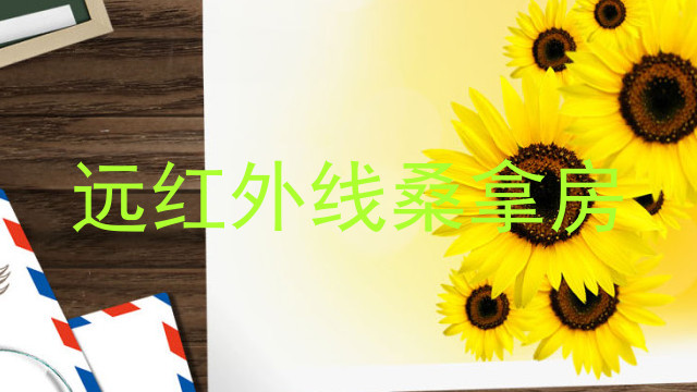远红外线桑拿房