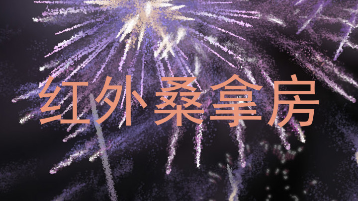 红外桑拿房