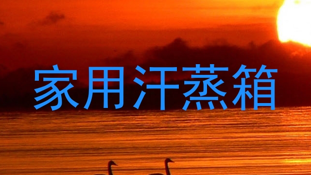 家用汗蒸箱