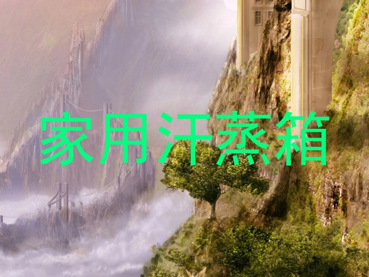 家用汗蒸箱