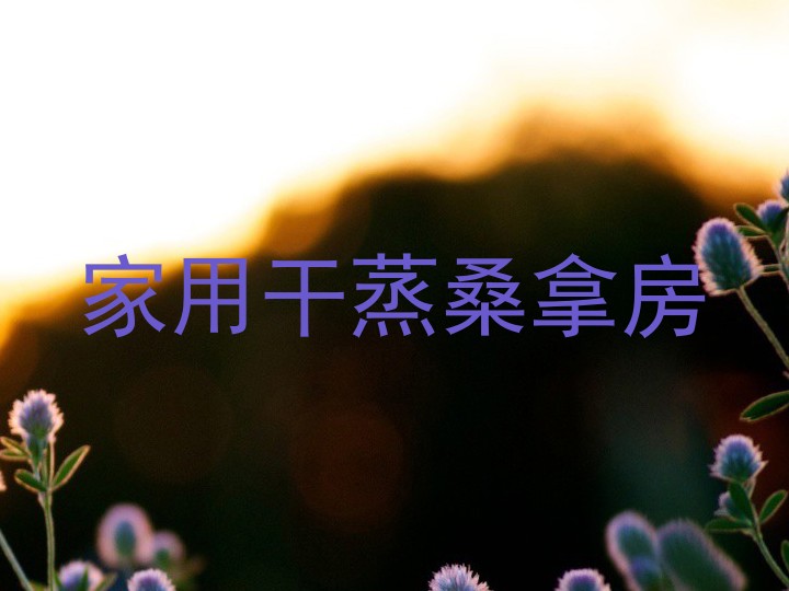 家用干蒸桑拿房