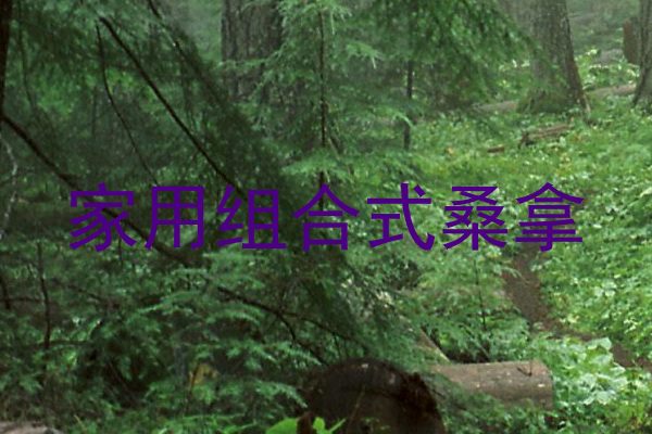 家用组合式桑拿