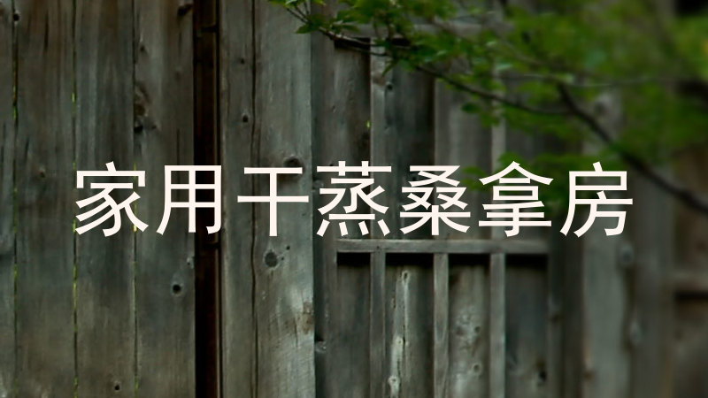 家用干蒸桑拿房