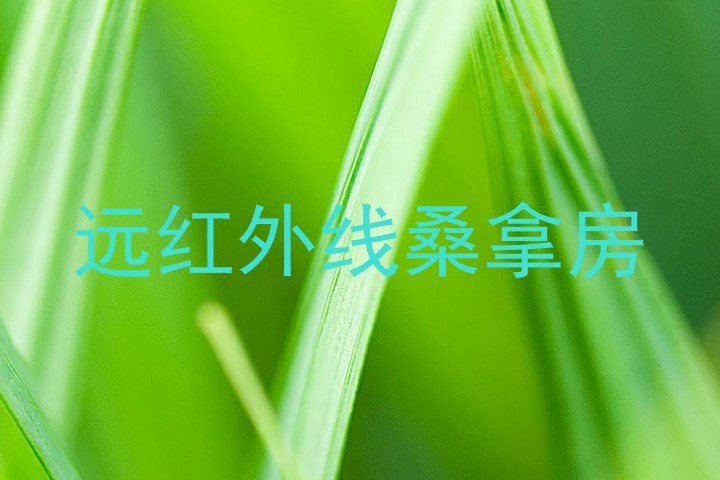 远红外线桑拿房