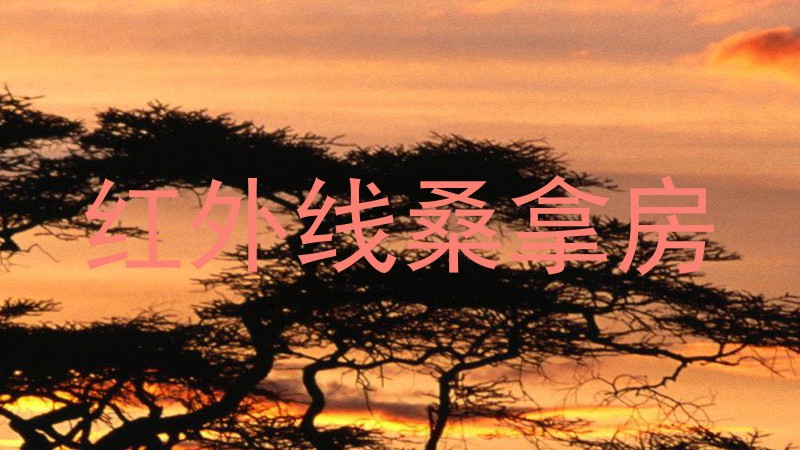 红外线桑拿房