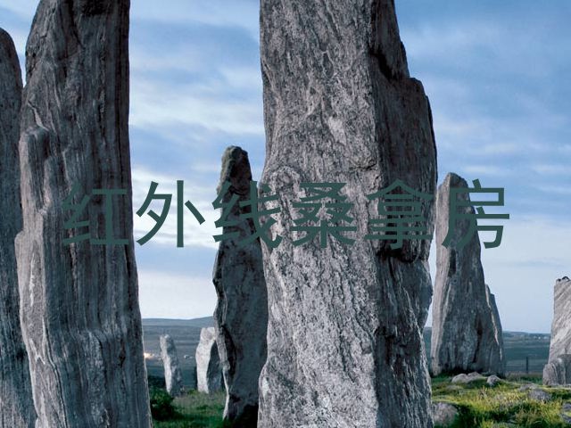 红外线桑拿房