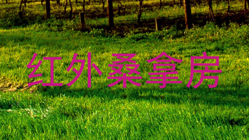 红外桑拿房