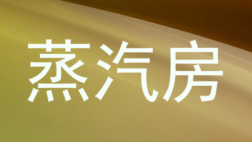 蒸汽房