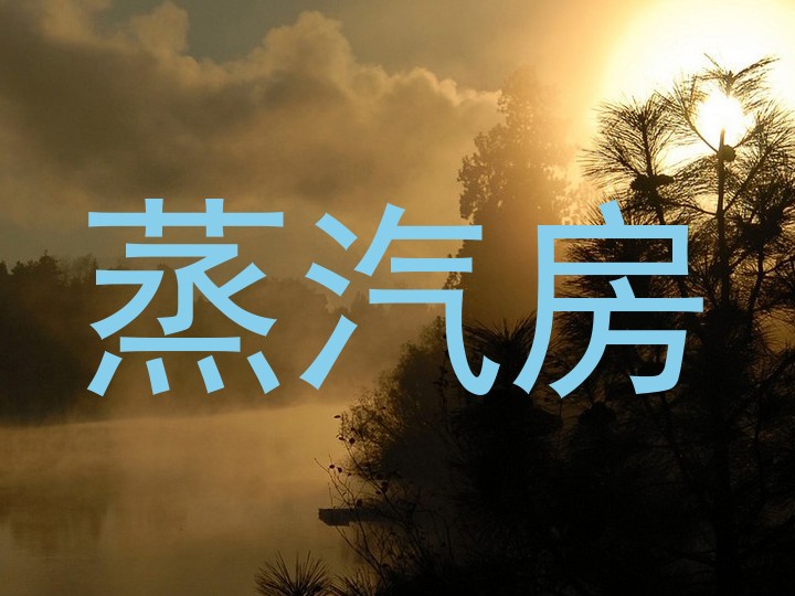 蒸汽房