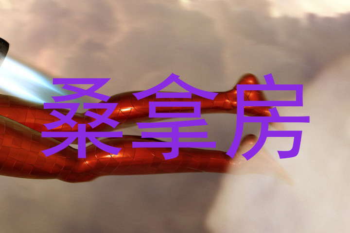 桑拿房