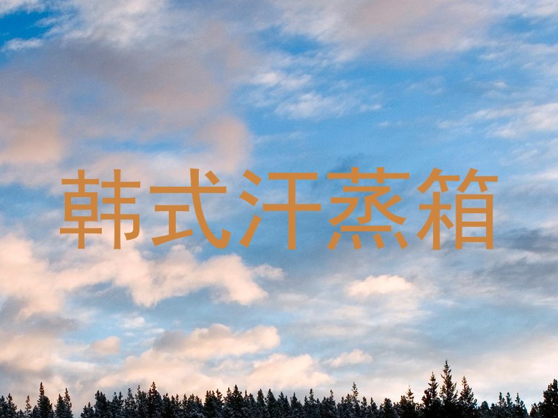 韩式汗蒸箱