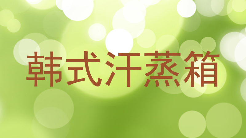 韩式汗蒸箱