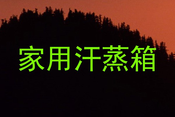 家用汗蒸箱