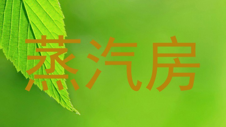 蒸汽房