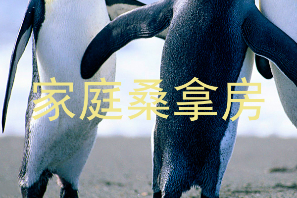 家庭桑拿房