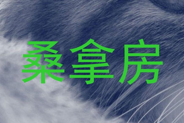桑拿房