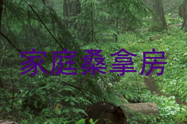 家庭桑拿房