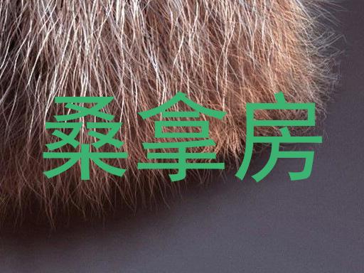 桑拿房