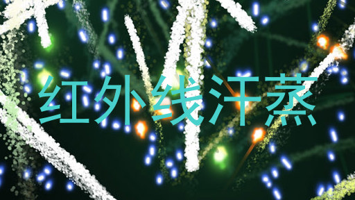 红外线汗蒸