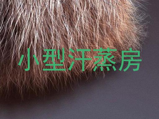 小型汗蒸房