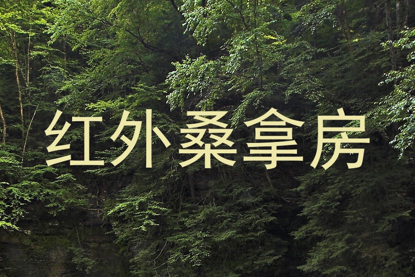 红外桑拿房