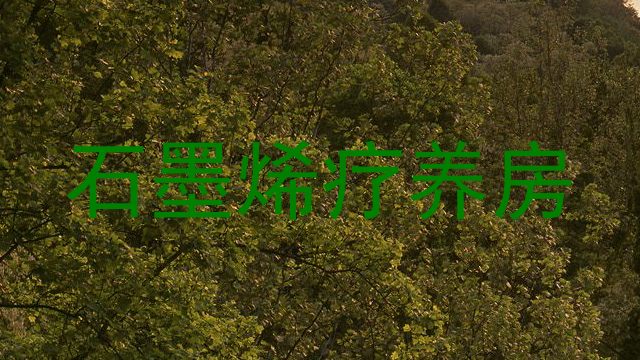 石墨烯疗养房